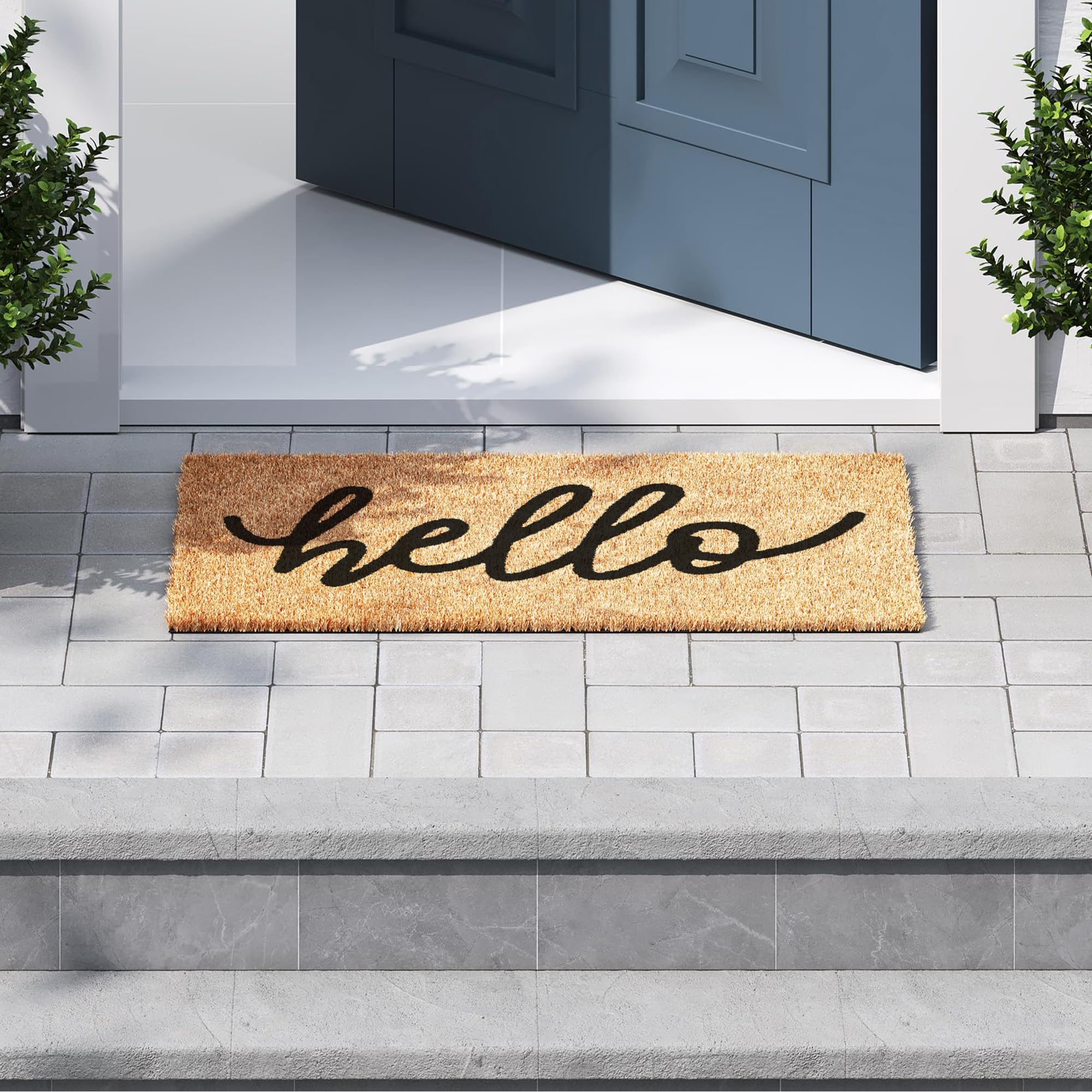 Barnyard Designs Front Door Welcome Mat (Hello, 30x17)