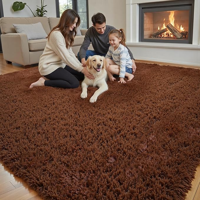 8x10 Area Rugs for Living Room Bedroom, Large Area Rug Shaggy Carpet Soft Plush Furry Bedside Rug, Rugs for Home Decor (Coffee, 8 x 10)