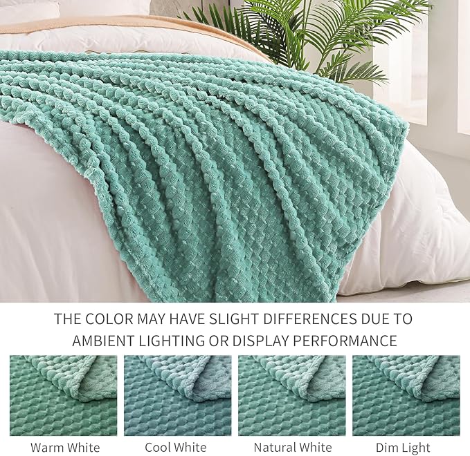 Exclusivo Mezcla 3D Fleece Twin Size Blanket for Bed, Celadon
