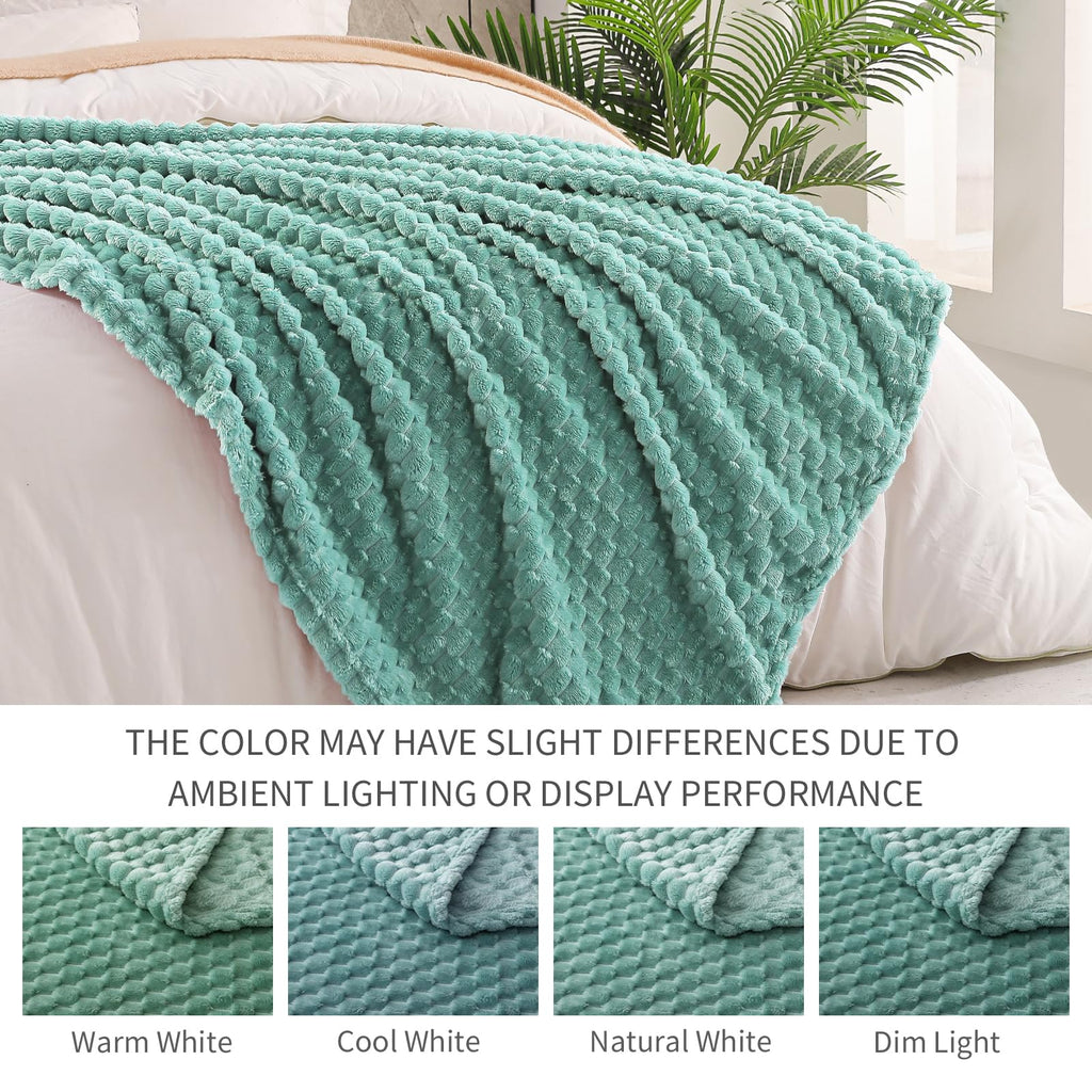 Exclusivo Mezcla Extra Large Soft Fleece Throw Blanket, 50x70 Inches 3D Clouds Stylish Jacquard Throw Blanket for Couch, Cozy Soft Lightweight for All Season, Celadon Blanket