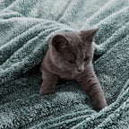 Exclusivo Mezcla Plush Fuzzy Fleece Throw Blanket Extra Large, Super Soft, Fluffy and Warm Blankets for Couch, Bed, All Season (Mixed Green, 50x70 inches)
