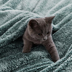 Exclusivo Mezcla Fuzzy Large Fleece Throw Blanket for Couch, Mixed Green