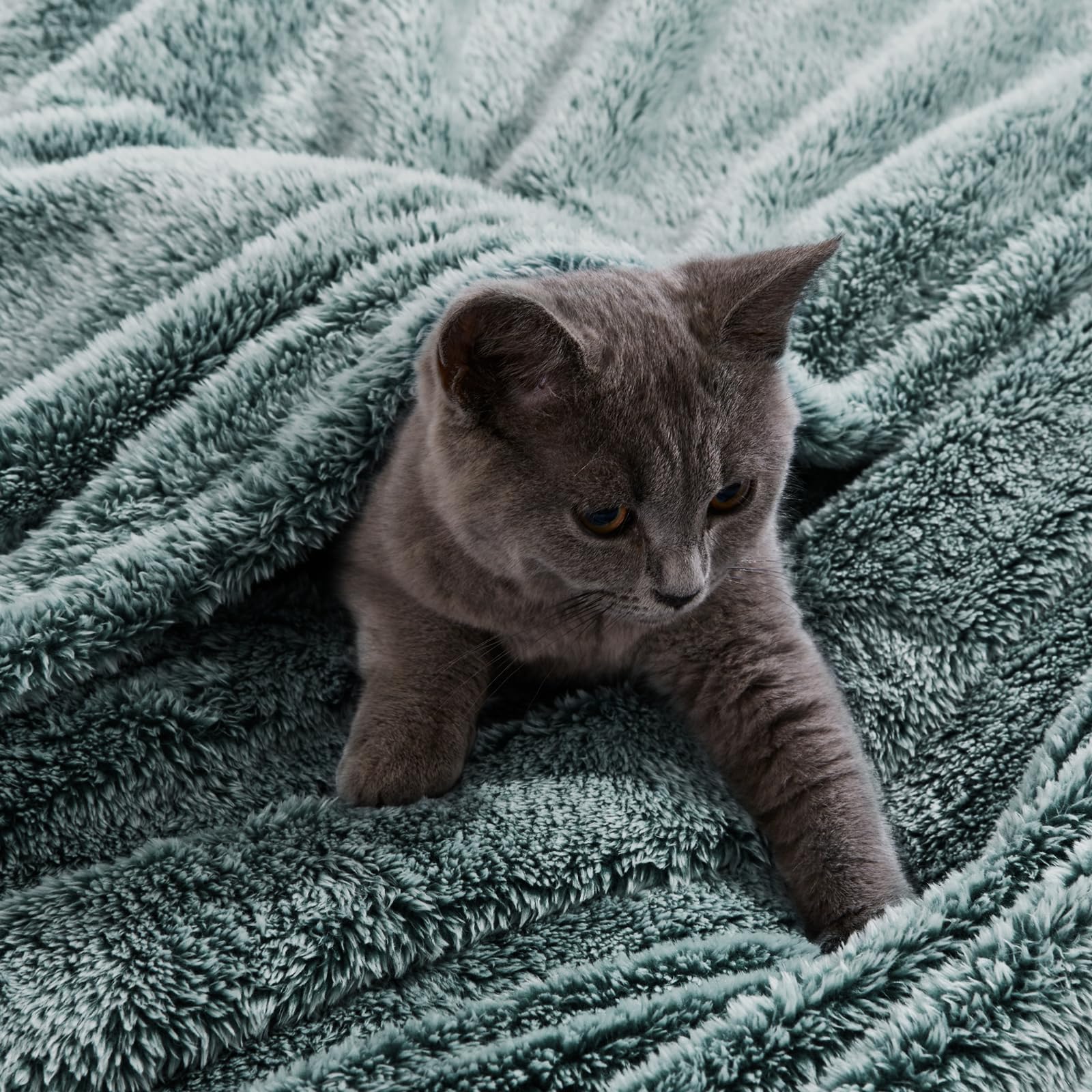 Exclusivo Mezcla Fuzzy Large Fleece Throw Blanket for Couch, Mixed Green