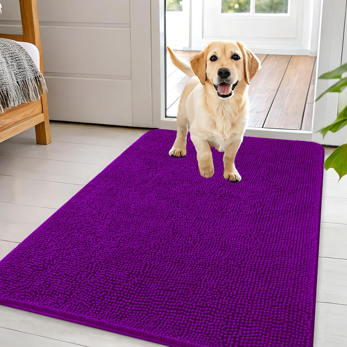 OLANLY Dog Door Mat for Muddy Paws 44x32, Super Absorbent Chenille Mud Mat