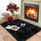 Pionblank Fluffy Small Rug for Bedroom 2x3 Feet, Shag Soft Area Rug, Modern Plush Carpet, Furry Cute Bedside Rug for Kids Girls Boys Room Nursery Decor, Black