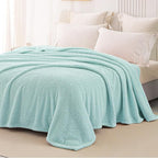 Whale Flotilla Queen Size Fuzzy Fleece Blanket for Bed, 90x90 Inch Fluffy Warm Soft Jacquard Blankets for All Season, Lightweight and Cozy, Light Blue