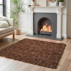Small Rugs for Bedroom 2x3, Soft Area Rug for Living Room Dorm, Non Slip Shag Rugs for Girls Boys Bedroom, Soft Kids Carpet, Modern Home Decor Aesthetic(Coffee, 2 x 3)