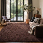 6x9 Ft Large Shag Rugs for Living Room Decor, Ultra Soft Brown Fluffy Furry Area Rugs for Bedroom Indoor Floor, Aesthetic Carpet for Kids Home