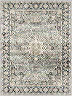 9x12 Area Rugs - 9x12 Washable Area Rug Indoor Vintage Rug Print Rug Low-Pile Floor Carpet for Living Room, Bedroom (Olive Charcoal)