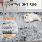 PLHXFR 8x10 Area Rug Living Room: Modern Abstract Washable Carpet Black
