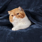 Bedsure GentleSoft Fleece Blanket California King Navy Blue - Lightweight Plush Fuzzy Cozy Soft Bed Blankets, 102x96 inches