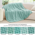 BEDELITE Fleece Throw - Twin Blanket for Bed Couch, 3D Jacquard Decorative Haze Blue, Soft Cozy Warm Plush Fuzzy Blanket for All Seasons, 60x80Inches