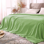 BEDELITE Fleece Blanket Soft Plush Queen Bed Blanket Grass Green 90"x90"
