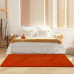Amearea Modern Soft Hallway Runner Rug, 2x6 Feet Washable Runner Rugs for Hallway, Orange Fluffy Rug Bedroom Bedside Rugs, Non Slip Memory Foam Rug Carpet for Entrance Kitchen Living Room Decor