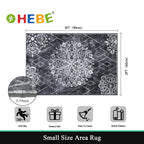 HEBE Indoor Door Mat 2'x3', Washable Welcome Mat for Front Door Entrance