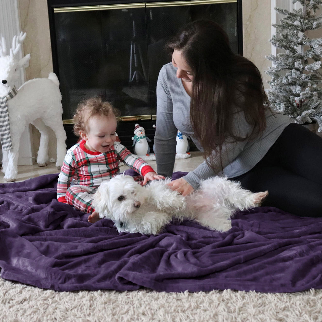 Bedsure GentleSoft Fleece Bed Blankets Large Size Purple - Soft Lightweight Fuzzy Cozy Luxury Oversized King Blanket Microfiber, Room Home Decor Gifts for Women and Men, 120x120 inches