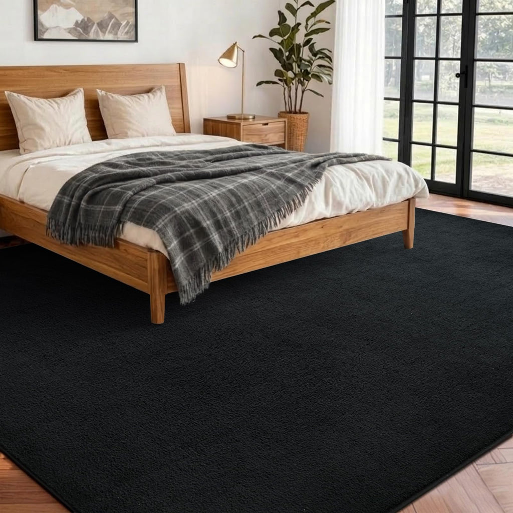 5x7 Pure Black Area Rug Non-Slip Washable Soft Thin for Living Room Bedroom