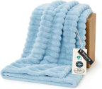 Bedsure GentleSoft Blue Fleece Blanket for Couch - Cozy Soft Blankets for Women, Cute Small Throws for Girls, Light Blue, 60x80 Inches