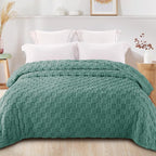 Exclusivo Mezcla Queen Size Flannel Fleece Blanket, Super Soft and Warm Lightweight Checkered Pattern Blankets for All Seasons, 90x90 Inches, Celadon