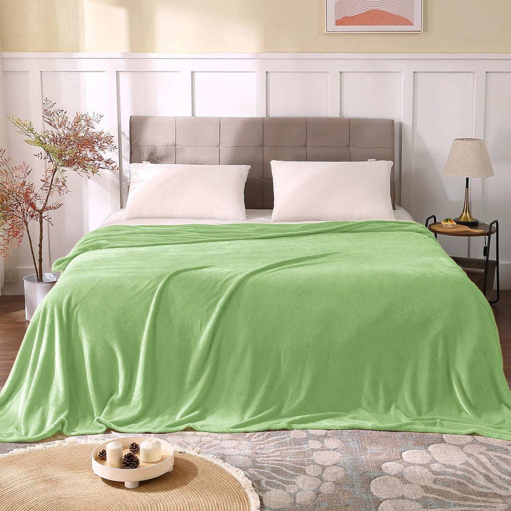 BEDELITE Fleece Blanket Soft Plush Queen Bed Blanket Grass Green 90"x90"