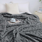 Aganear Flannel Throw Blanket - Cozy Soft Lightweight Fuzzy Throw Blanket for Women Portable Throw Blankets for Couch, Warm Present for Birthday, Christmas, Halloween, Housewarming(50"x60", Gray)