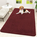 OLANLY Dog Door Mat for Muddy Paws 59x35, Super Absorbent Chenille Mud Mat