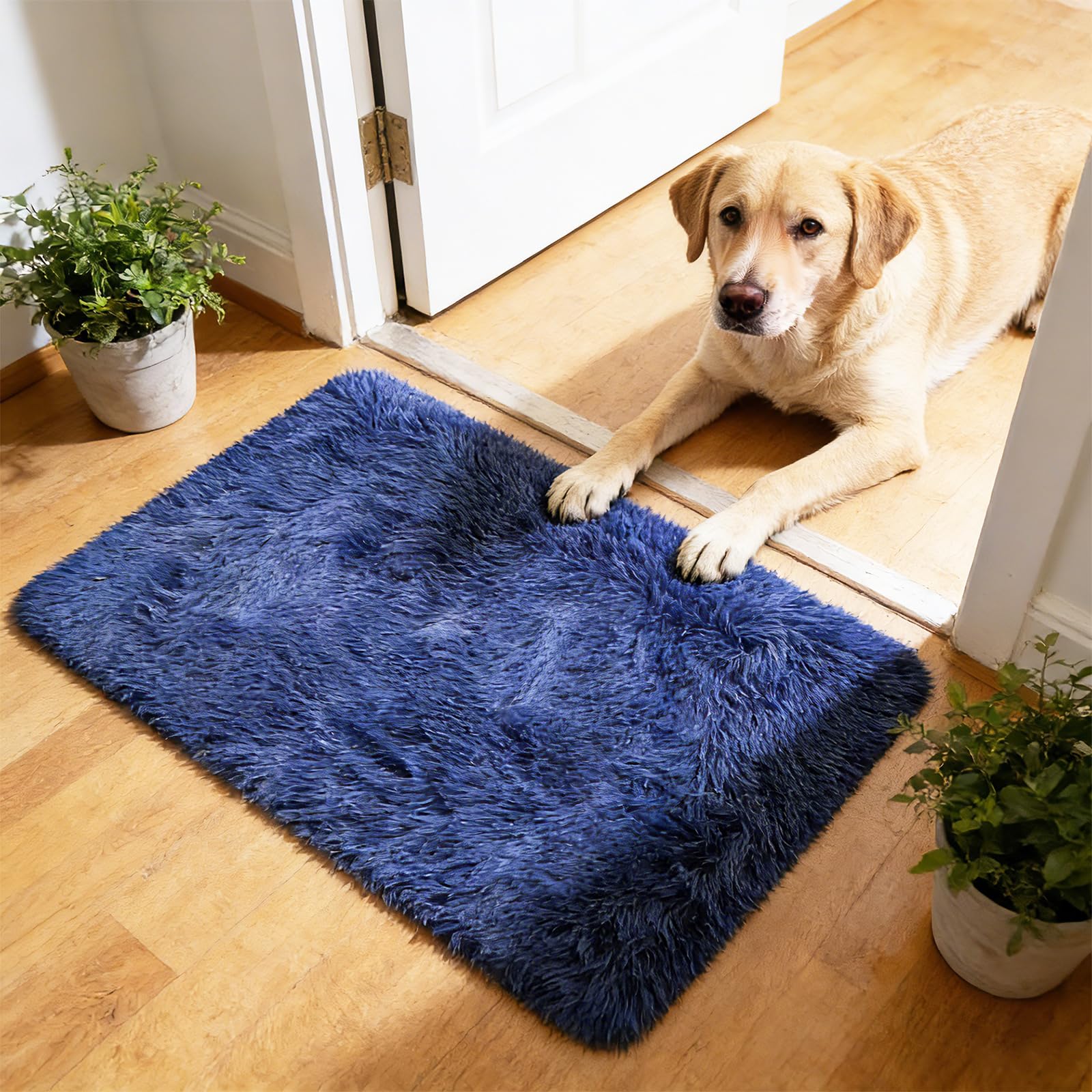 yulidayang 2x3 Area Rugs for Bedroom,Blue Small Fluffy Shag Rug