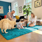 OLANLY 8x10 Machine Washable Large Area Rugs for Living Room, Bedroom, Soft Fluffy Shaggy Bedside Rug, Indoor Floor Carpet for Kids Girls and Boys, Dorms, Nursery, Home Decor Aesthetic, Teal