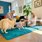 OLANLY 9x12 Machine Washable Large Area Rugs for Living Room, Bedroom, Soft Fluffy Shaggy Bedside Rug, Indoor Floor Carpet for Kids Girls and Boys, Dorms, Nursery, Home Decor Aesthetic, Teal