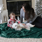 Bedsure GentleSoft Fleece Blanket Twin Size Emerald Green - 300GSM Lightweight Plush Fuzzy Cozy Soft Warm Blanket for Bed, Sofa, Couch, Travel, Camping, 60x80 inches
