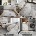 3 x 5 Rug Small Non Slip Area Rug Ultra Soft Machine Washable Low Pile Modern Abstract Dahlia Indoor Carpet Rugs for Bedroom Living Room Entryway Kitchen Bedside, Grey