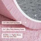 4x6 Ft Pink Rugs for Bedroom Girls, Shag Fluffy Area Rug for Living Room, Ultra Soft Furry Rug Indoor Carpet for Kids Room Nursery Home Decor