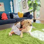 OLANLY 2x4 Machine Washable Runner Rugs for Hallway, Soft Fluffy Shaggy Bedside Rugs for Bedroom, Living Room, Indoor Floor Carpet for Kids Girls Boy, Nursery Rooms, Home Decor Aesthetic, Grass Green