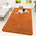 OLANLY Dog Door Mat for Muddy Paws 59x32, Super Absorbent Chenille Mud Mat