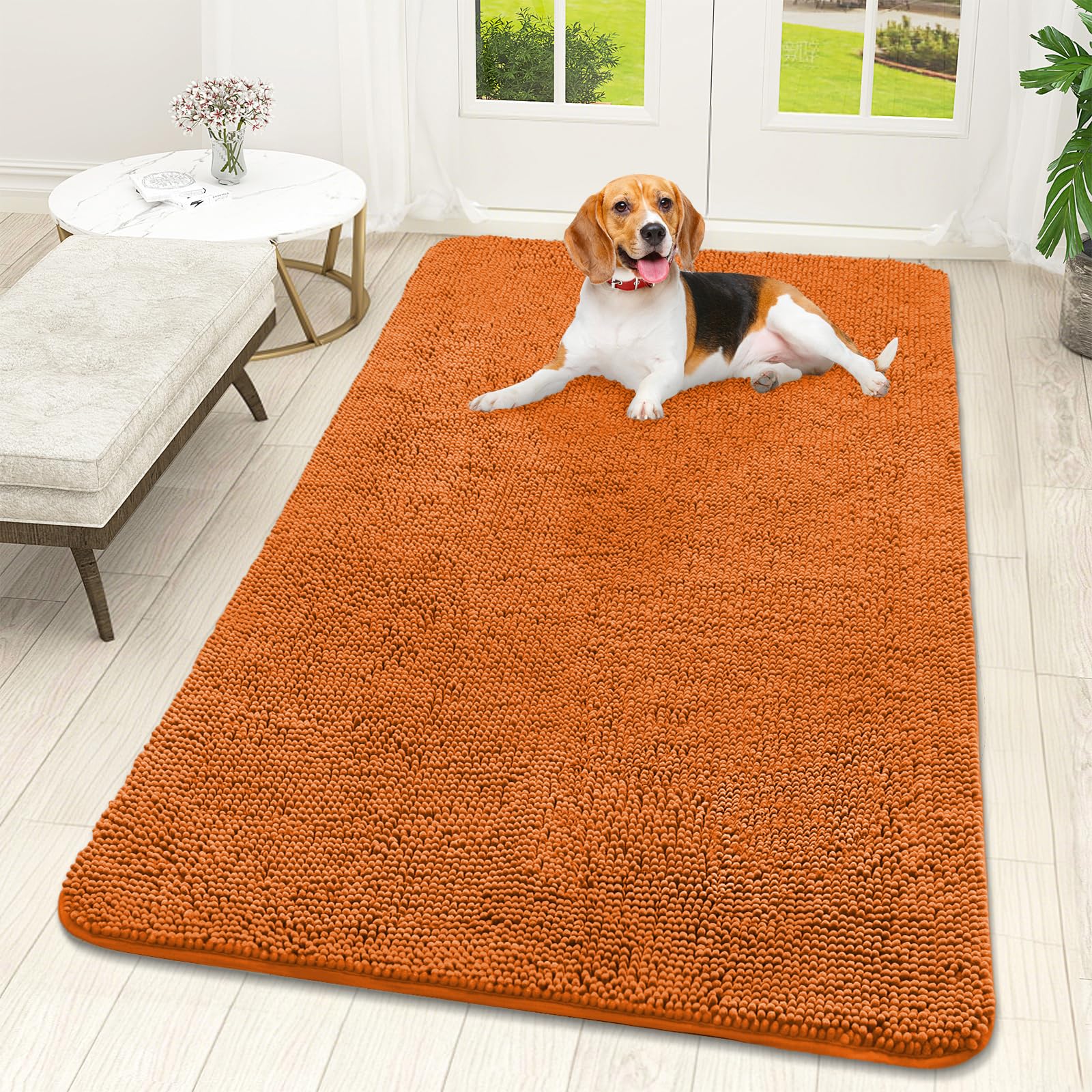 OLANLY Dog Door Mat for Muddy Paws 59x32, Super Absorbent Chenille Mud Mat