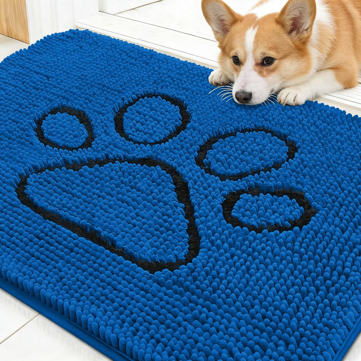 OLANLY Dog Door Mat for Muddy Paws 30x20, Super Absorbent Chenille Mud Mat