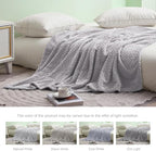 Exclusivo Mezcla Fleece Twin Size Blanket for Bed, 60x80 Inches Soft Cozy Jacquard Flannel Blankets, Lightweight Fuzzy Plush Warm for Women, Light Grey