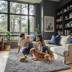 Rugs for Living Room 6x9, Alfombras para Salas Shag Large Plush Soft Area Rug, Shaggy Carpets for Bedroom, Kids Boys Girls Home Decor Aesthetic(Light Grey, 6x9 Feet)