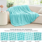 BEDELITE Fleece Blanket - 3D Jacquard Decorative Aqua Throw Blankets for Couch & Bed, Soft and Cozy Warm Plush Fluffy Blanket All Seasons Suitable, 50x60Inches