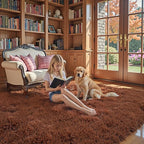 Rugs for Living Room 5x8, Alfombras para Salas Shag Large Plush Soft Area Rug, Shaggy Carpets for Bedroom, Kids Boys Girls Home Decor Aesthetic(Coffee, 5 x 8)