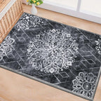 HEBE Indoor Door Mat 2'x3', Washable Welcome Mat for Front Door Entrance