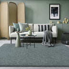 AROGAN 5x7 Area Rugs for Living Room Non Slip Bedroom Rug, Grey & Green