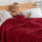 Exclusivo Mezcla Striped Twin Size Fleece Blanket for Bed, Couch, 60"x80"
