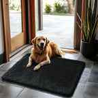yulidayang 2x3 Area Rugs for Bedroom,Black Small Fluffy Shag Rug