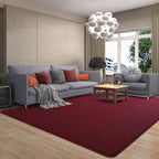 AROGAN Modern Shag Area Rug, 6x9 Feet Washable Bedroom Carpet, Plush Memory Foam Kids Girls Teens Room Low Pile Rug Decor, Wine Red