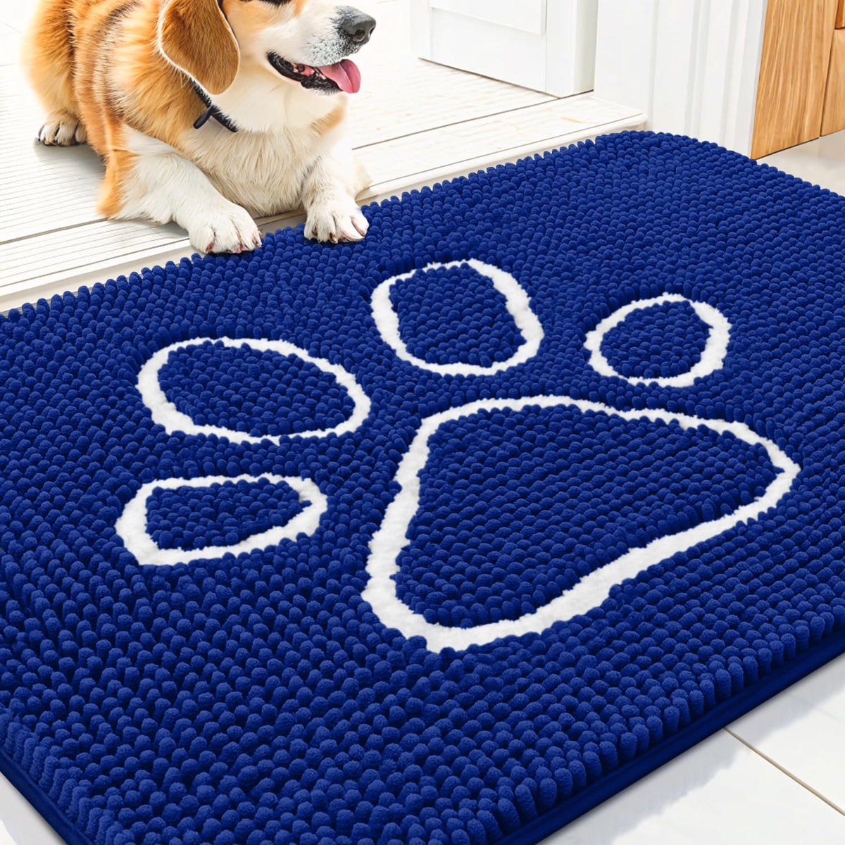 Smiry Dog Door Mat for Muddy Paws, Absorbent Non Slip Dirt Trapper, 30x20