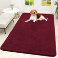 OLANLY Dog Door Mat for Muddy Paws 59x35, Super Absorbent Chenille Mud Mat