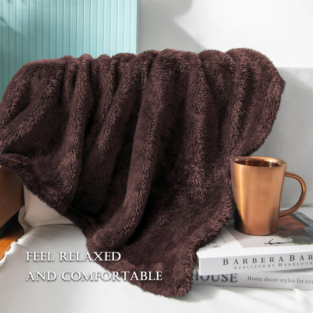 Exclusivo Mezcla Fuzzy Plush Fleece Bed Blanket Twin XL Size, Coffee