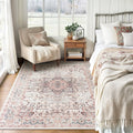 Lofus 3x5 Pink Area Rugs for Bedroom Living Room, Vintage Boho Carpet