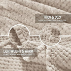 Exclusivo Mezcla Fleece Bed Blanket Queen Size, Super Soft and Warm Blankets for Couch, Sofa and Bed Waffle Textured, Cozy, Fuzzy and Lightweight (Tan, 90x90 Inches)